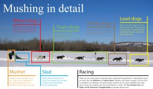 Mushing_graphicx